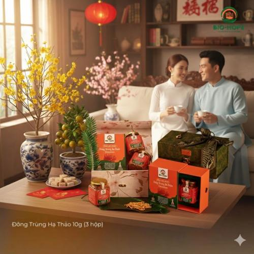 Xuân 2026 Nên Tặng Gì Để Vừa Sang Trọng, Vừa Thiết Thực Cho Sức Khỏe Người Nhận?